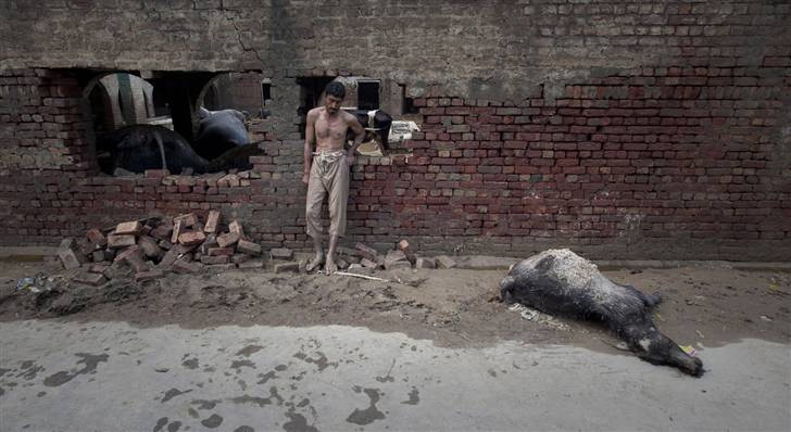 CRSS to the World: Do not Punish the People for their Government