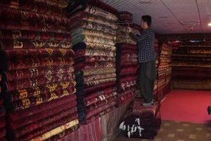 Economy and Development