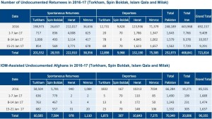 Undocumented Afghan Returnees from 2016 to 2017