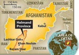 8d7bcfa35ecbd9f228e7d81479a0cb9c_XL