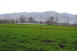 agriculture-08-march-17