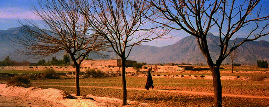 Governing FATA: The big debate