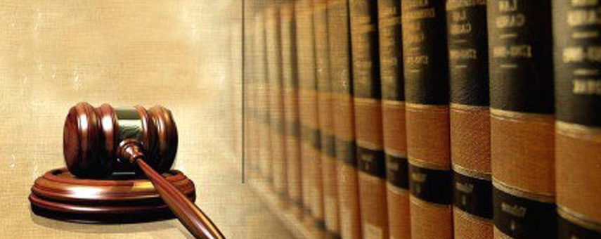 Success Lies in the Rule of Law