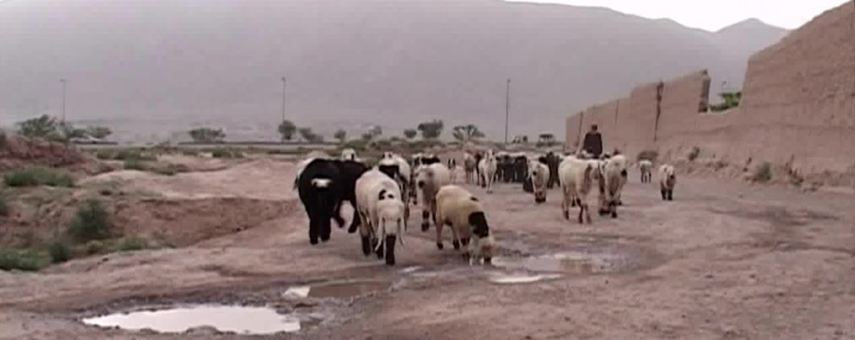 Pakistan’s Parched Baluchistan Nears Water Crisis