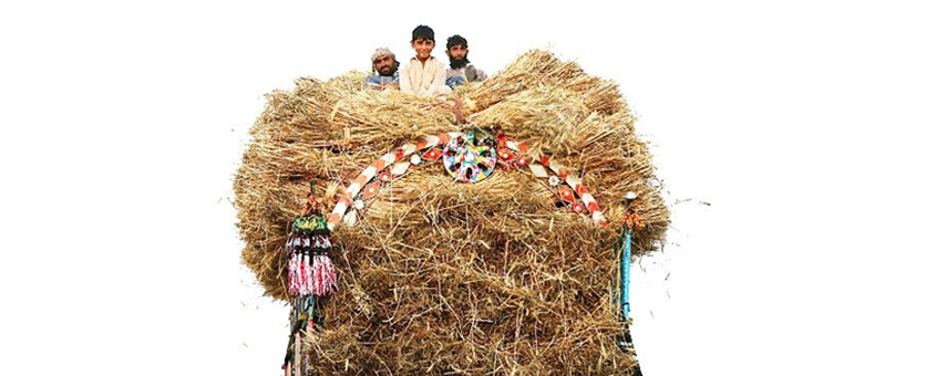 The Internal Frontier