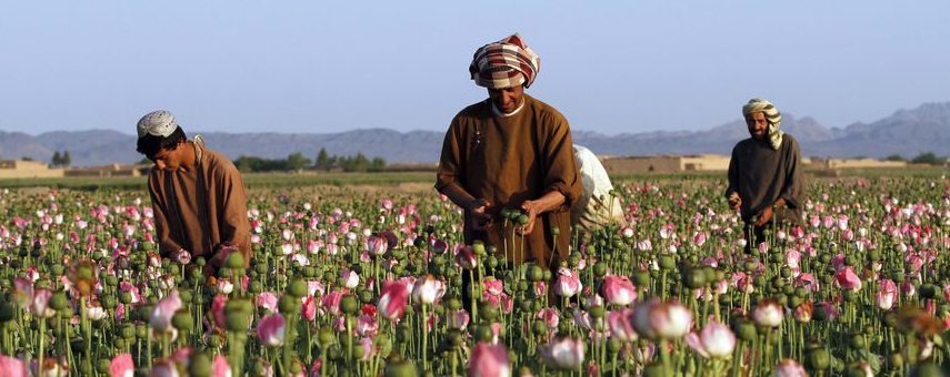 Afghanistan Failures Rising, Progress Eroding 15 Years After U.S. Intervention