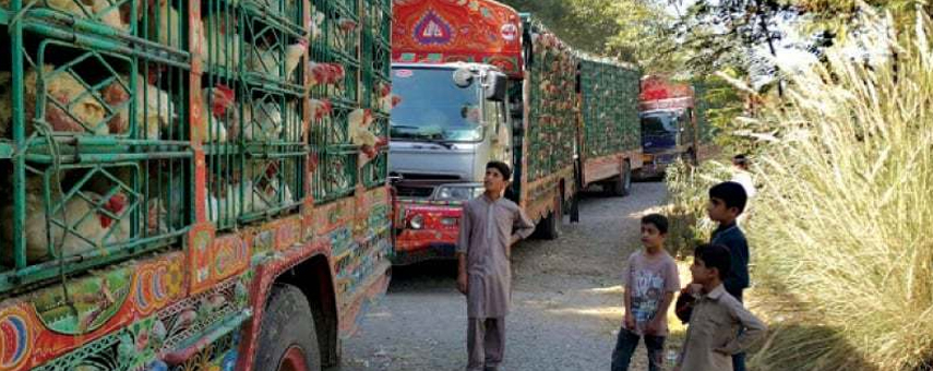 Border with Afghanistan Closed After Suicide Attack In Kurram