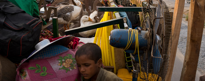 Exiled From Pakistan, Destitute Afghans Return To a Country at War