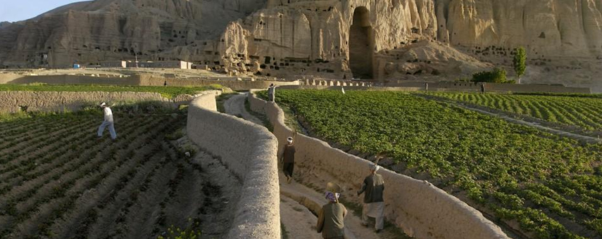 Afghanistan: Perceptions