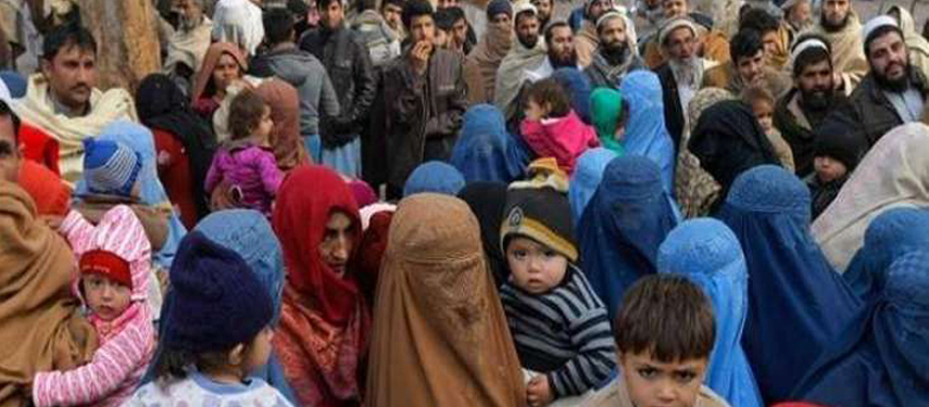 Why not Embrace Global Norms