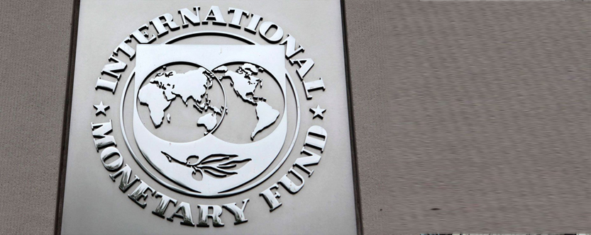 IMF — cure or curse