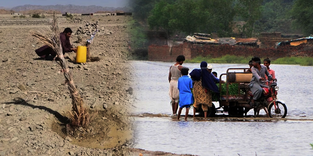 From Margins to the Forefront: How Balochistan Leads Pakistan’s Climate Fight